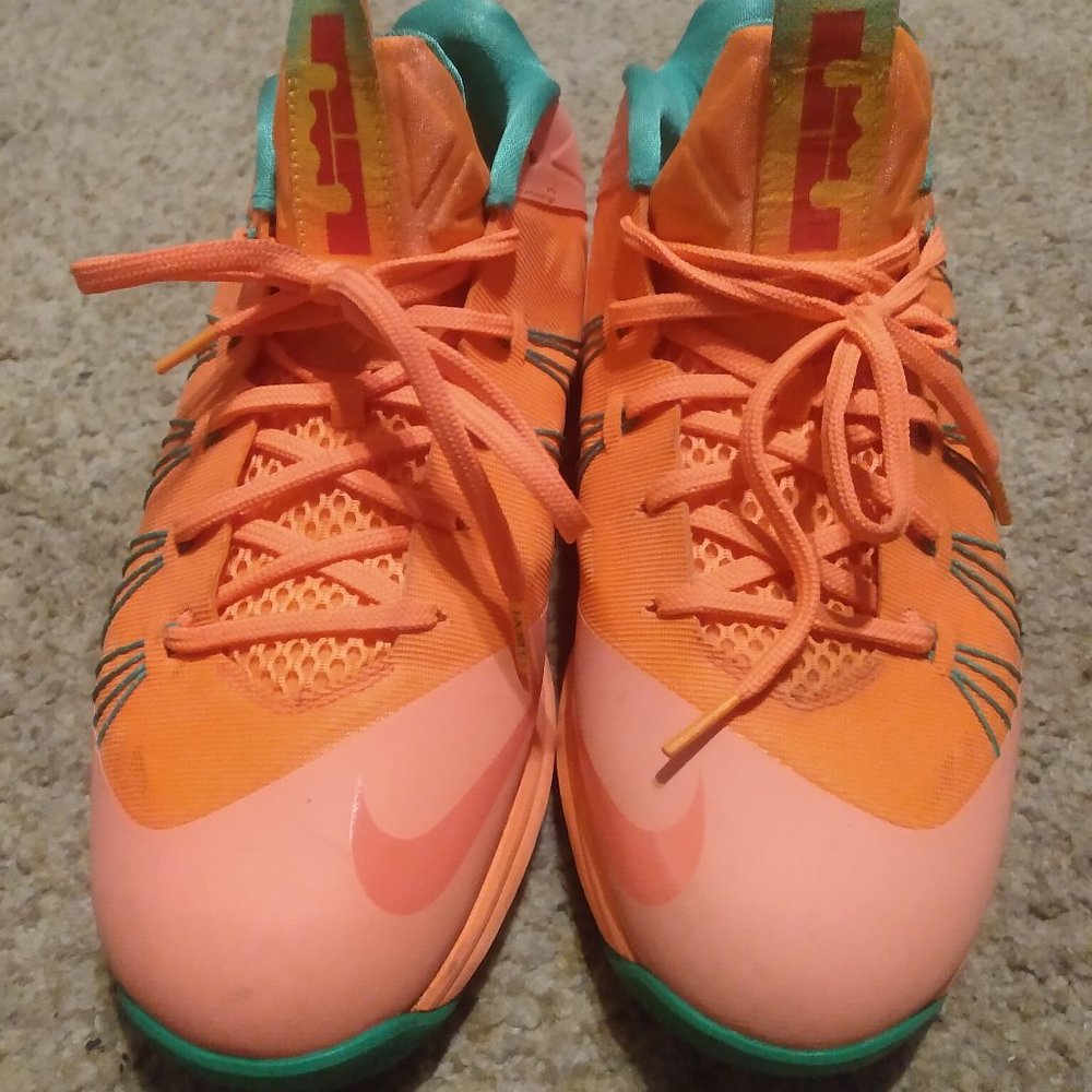 Air Max Lebron/Watermelon/Size 12